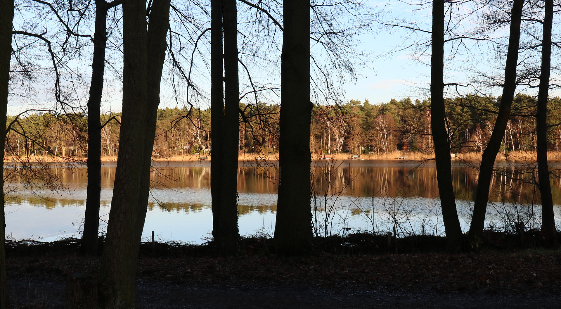 Seeblick, Baumreihen, Nachdenken