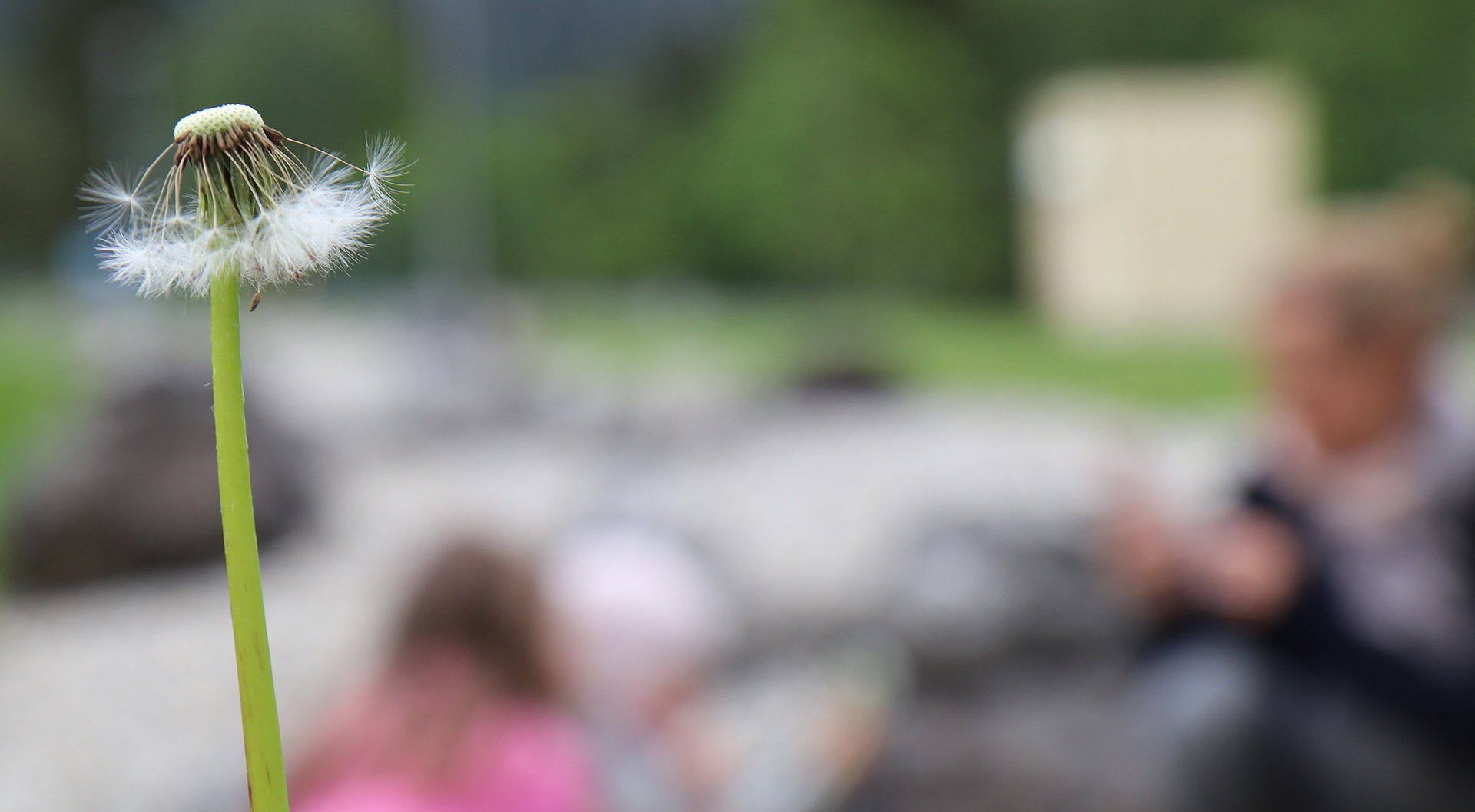 Pusteblume, raus hier, auch mal frei als Mutter