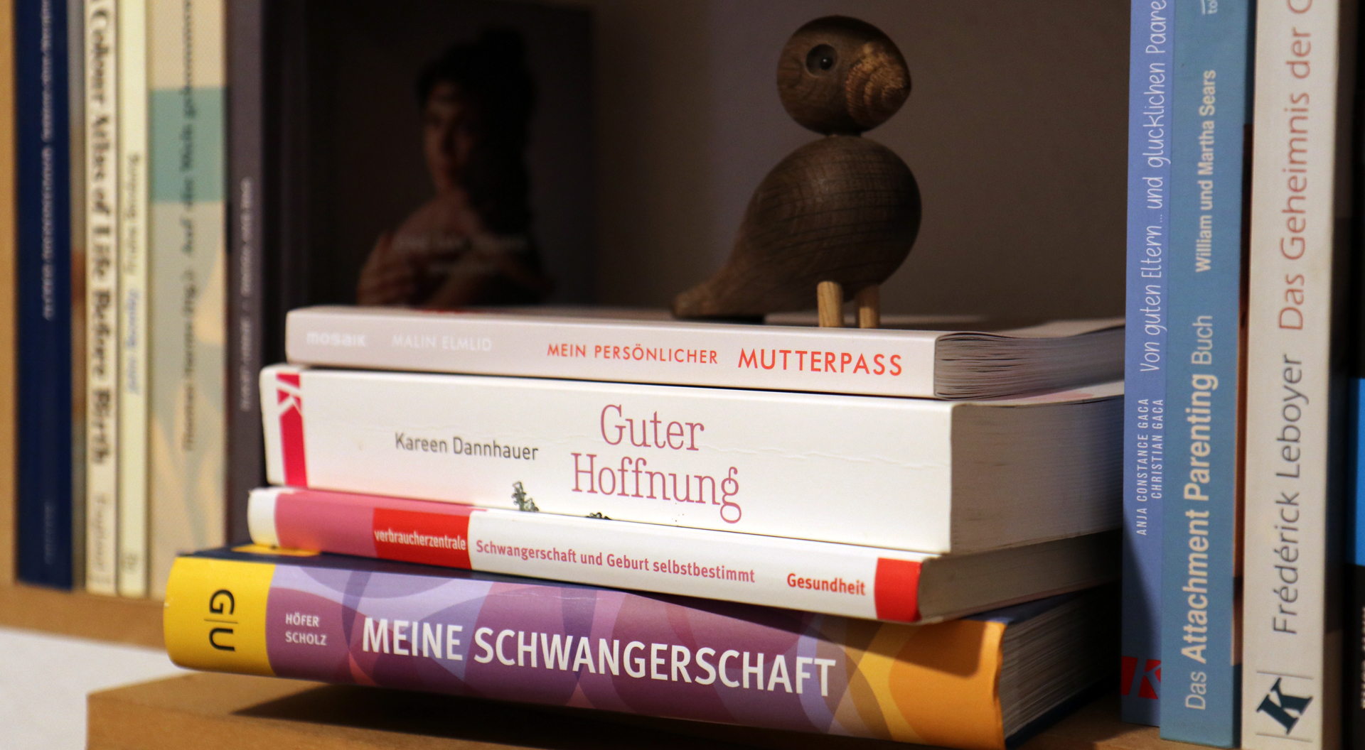 Hebammenempfehlung, Schwangerschaftsratgeber, Geburtsbuch